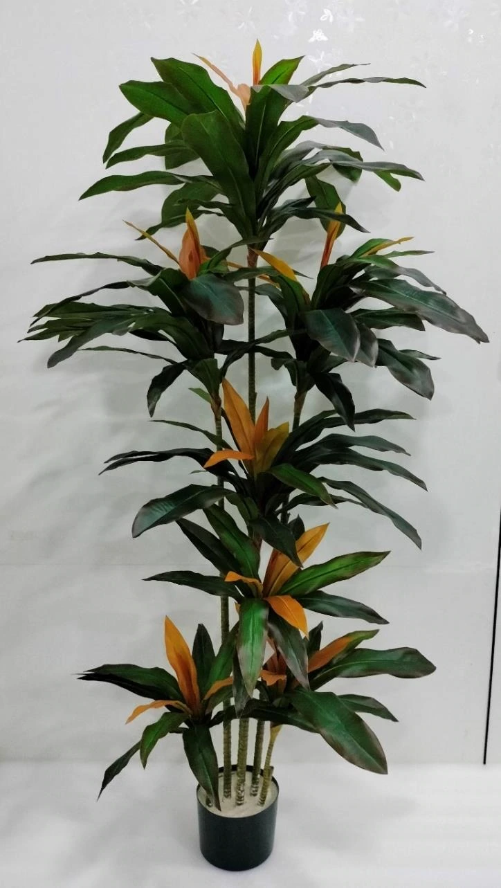 Dracaena Plant x7 Without Base 210cm
